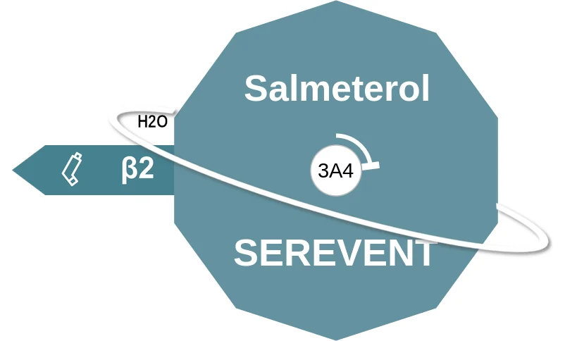 Salmeterol ballicule: receptor binding, kinetics and half-life diagram