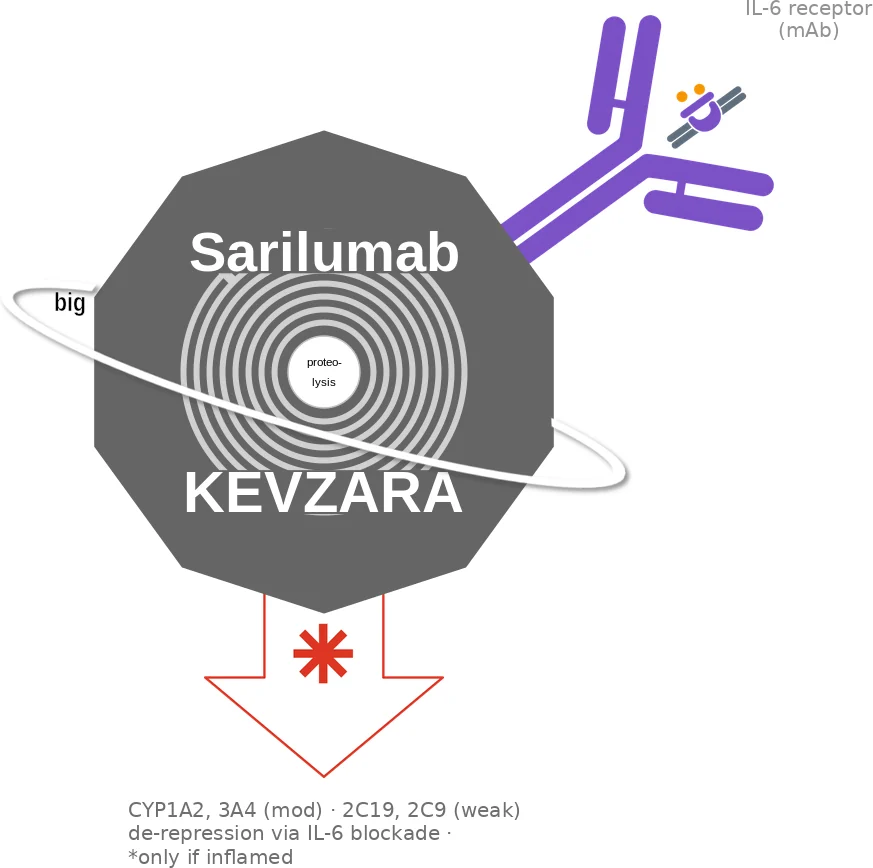 Sarilumab ballicule: receptor binding, kinetics and half-life diagram