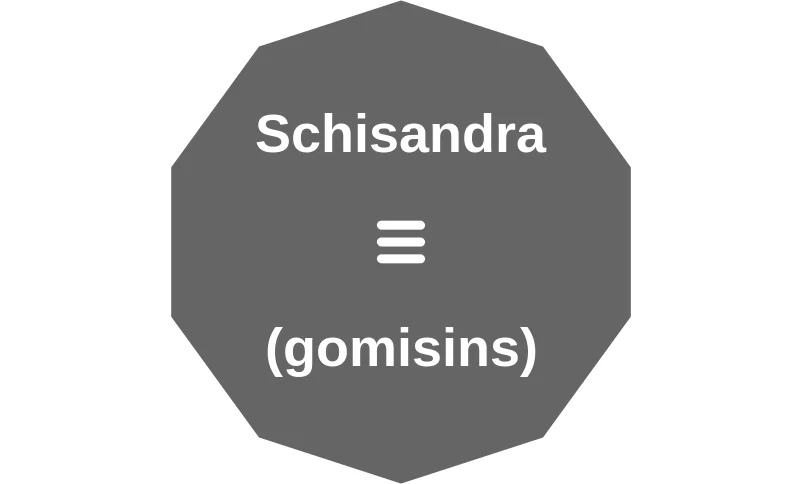 Schisandra ballicule: receptor binding, kinetics and half-life diagram