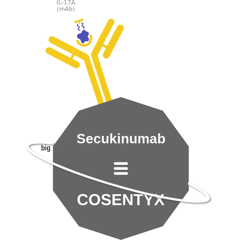 Secukinumab ballicule: receptor binding, kinetics and half-life diagram