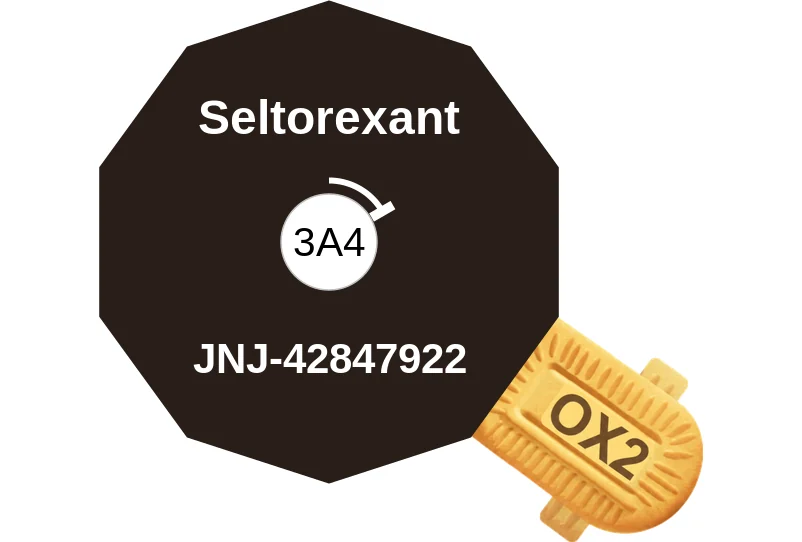 Seltorexant ballicule: receptor binding, kinetics and half-life diagram
