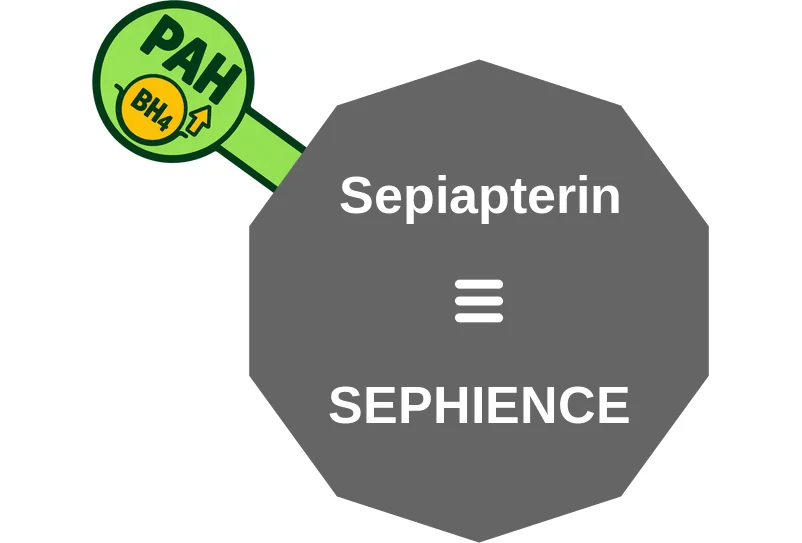 Sepiapterin ballicule: receptor binding, kinetics and half-life diagram
