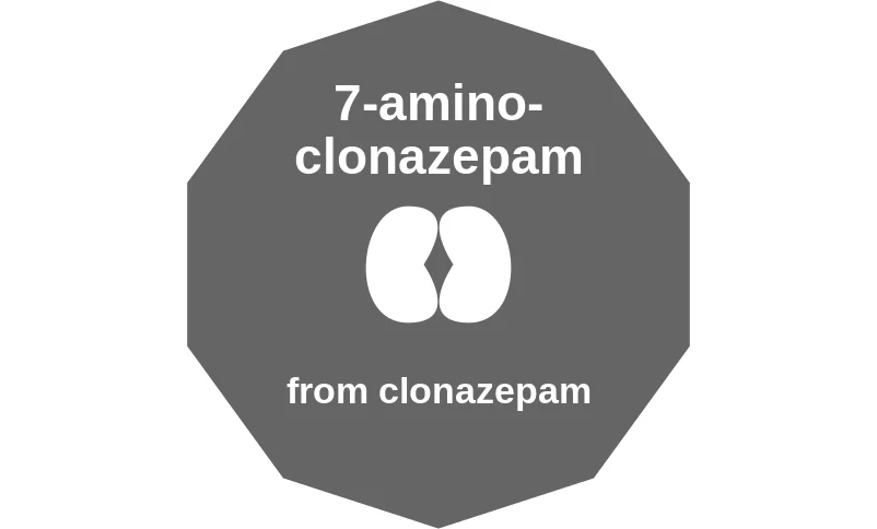 7-aminoclonazepam ballicule: receptor binding, kinetics and half-life diagram