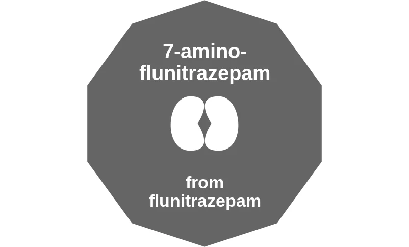7-aminoflunitrazepam ballicule: receptor binding, kinetics and half-life diagram
