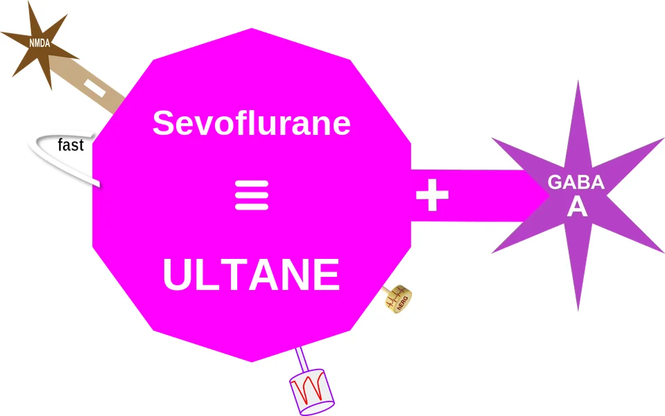 Sevoflurane ballicule: receptor binding, kinetics and half-life diagram