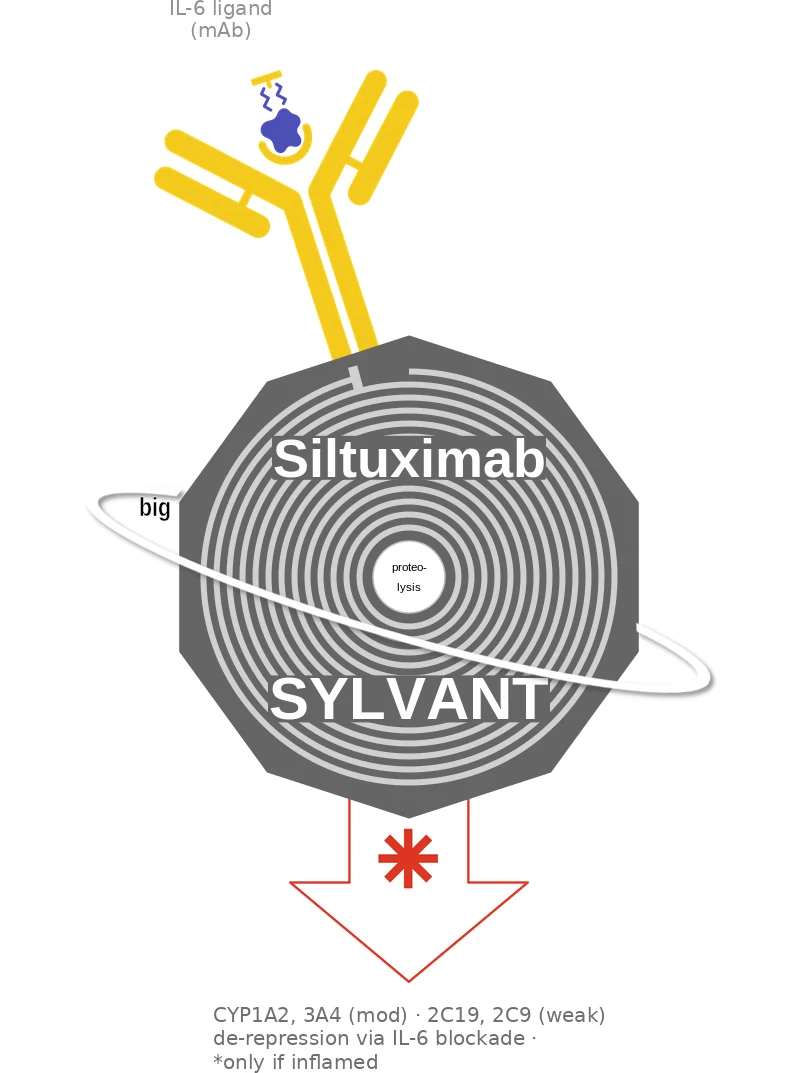 Siltuximab ballicule: receptor binding, kinetics and half-life diagram