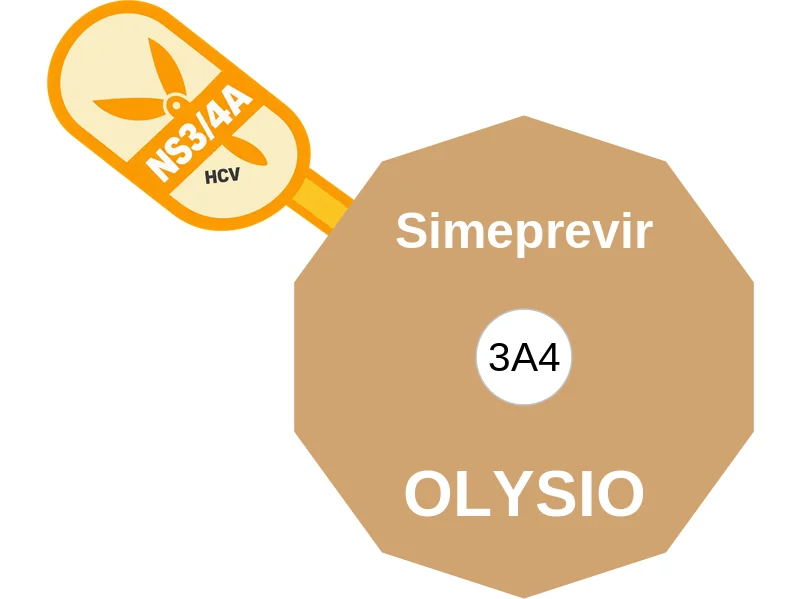 Simeprevir ballicule: receptor binding, kinetics and half-life diagram