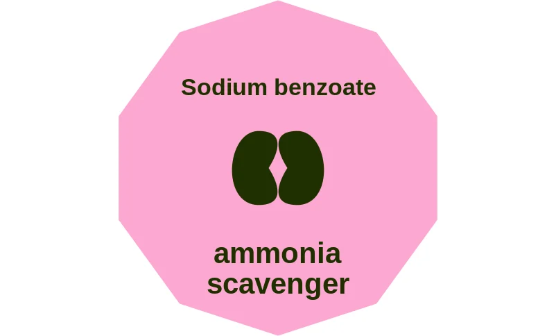 Sodium benzoate ballicule: receptor binding, kinetics and half-life diagram