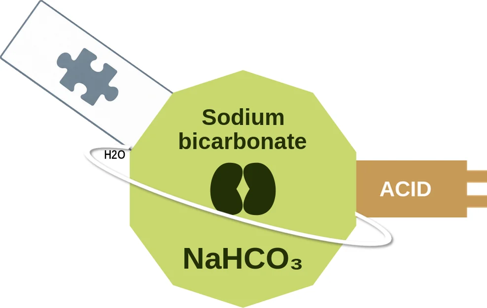 Sodium bicarbonate ballicule: receptor binding, kinetics and half-life diagram