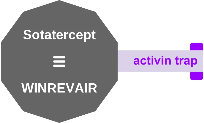 Sotatercept ballicule: receptor binding, kinetics and half-life diagram