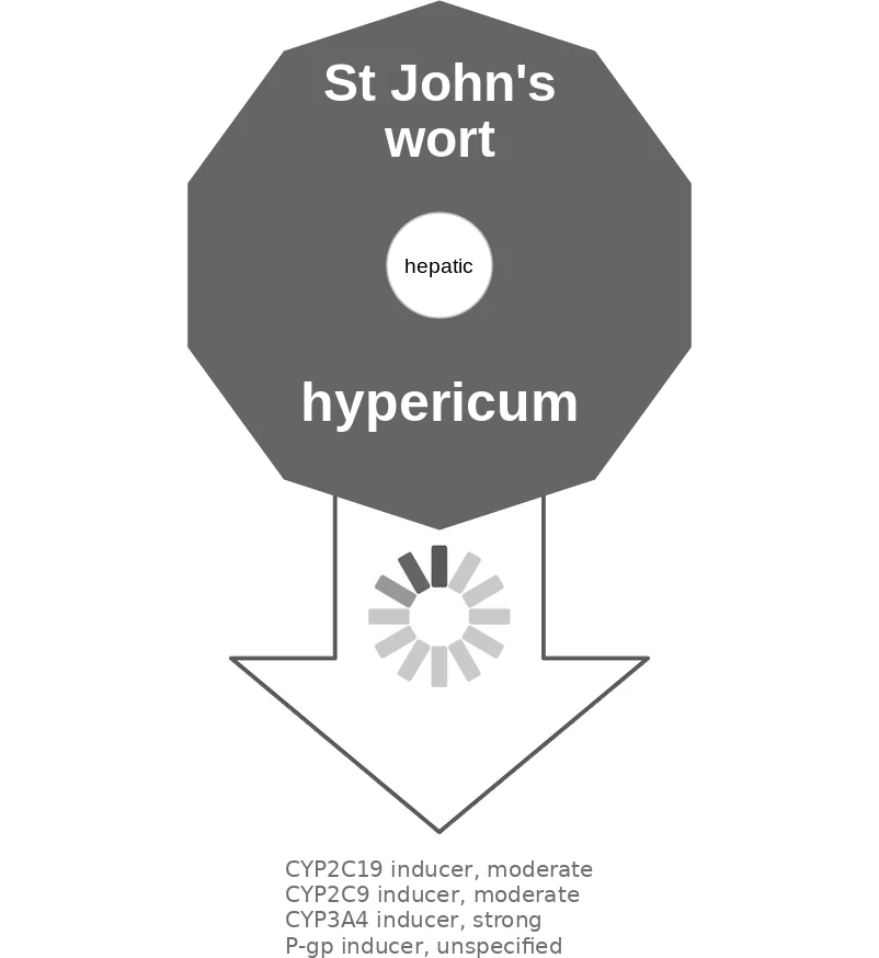 St John's wort ballicule: receptor binding, kinetics and half-life diagram