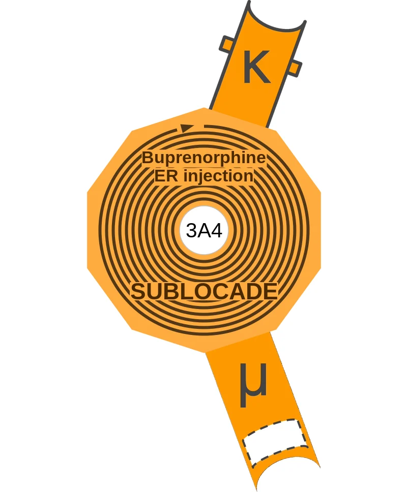 Buprenorphine ER injection ballicule: receptor binding, kinetics and half-life diagram
