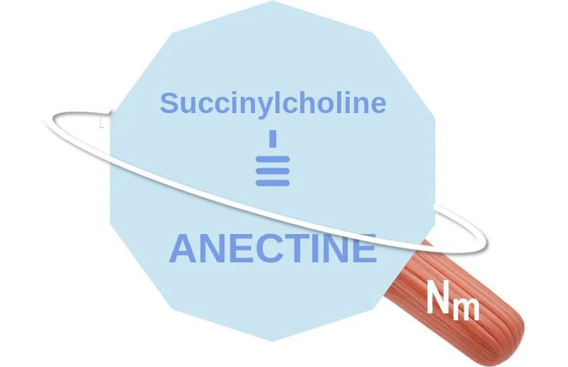 Succinylcholine ballicule: receptor binding, kinetics and half-life diagram