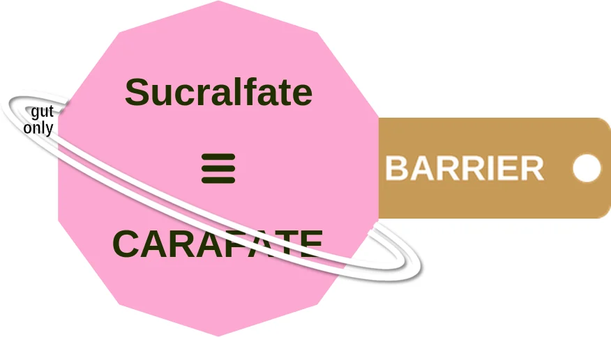 Sucralfate ballicule: receptor binding, kinetics and half-life diagram