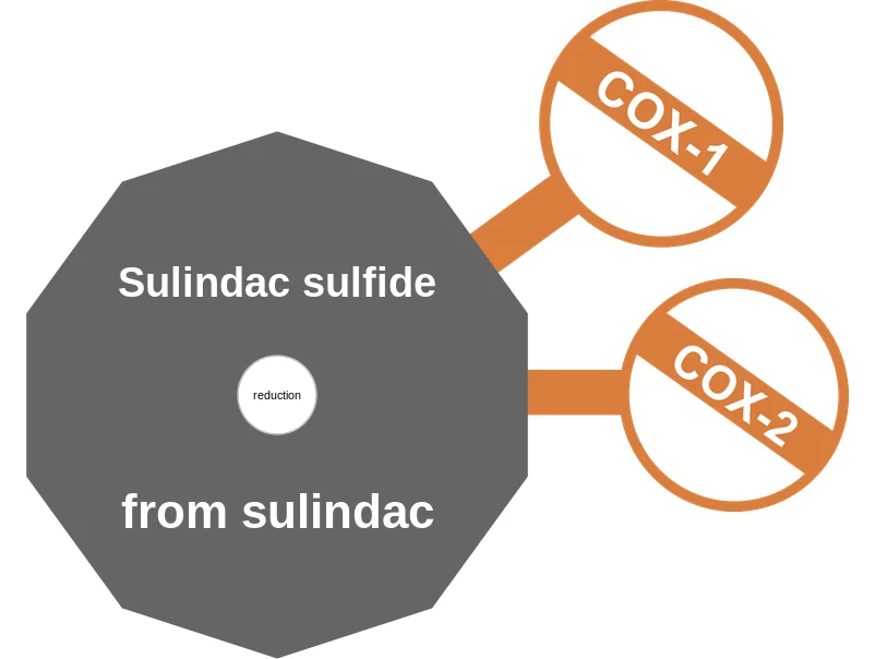 Sulindac sulfide ballicule: receptor binding, kinetics and half-life diagram