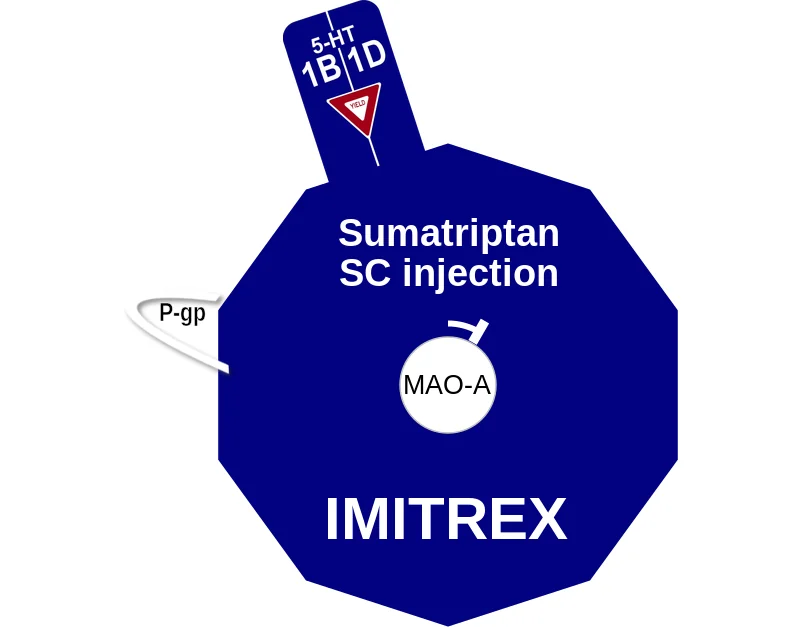 Sumatriptan SC injection ballicule: receptor binding, kinetics and half-life diagram