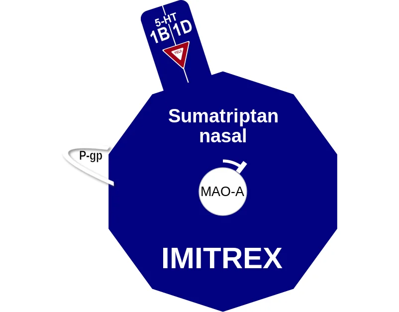 Sumatriptan nasal ballicule: receptor binding, kinetics and half-life diagram