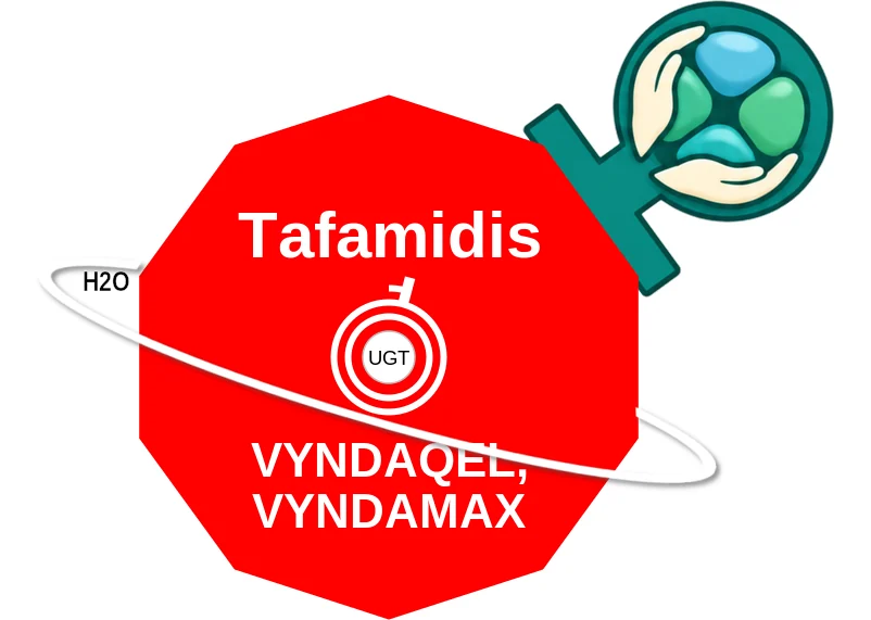 Tafamidis ballicule: receptor binding, kinetics and half-life diagram