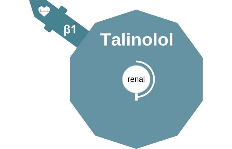 Talinolol ballicule: receptor binding, kinetics and half-life diagram
