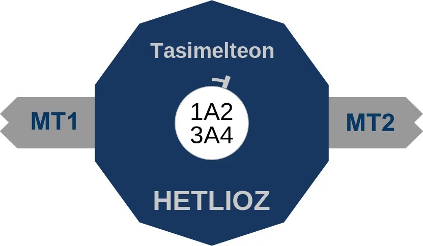 Tasimelteon ballicule: receptor binding, kinetics and half-life diagram