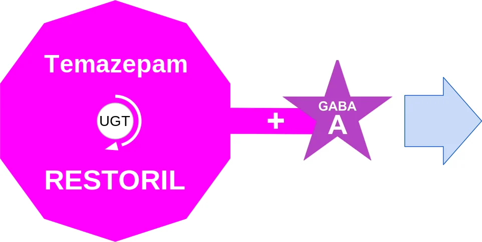 Temazepam ballicule: receptor binding, kinetics and half-life diagram