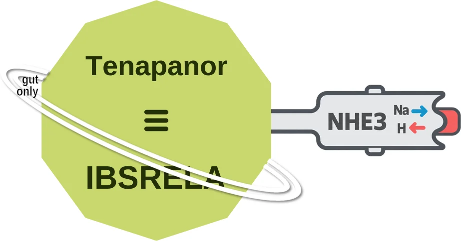 Tenapanor ballicule: receptor binding, kinetics and half-life diagram