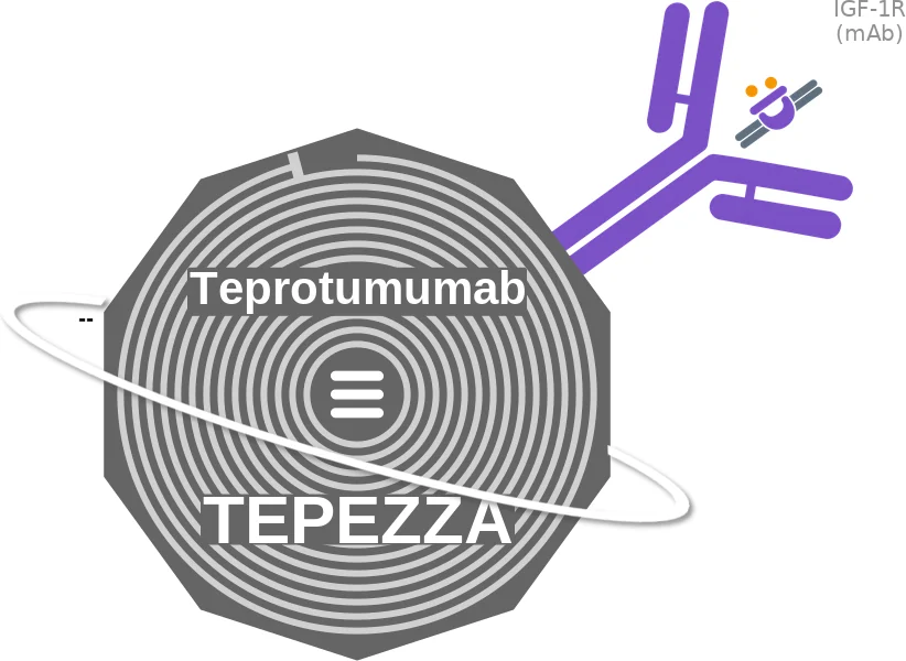 Teprotumumab ballicule: receptor binding, kinetics and half-life diagram