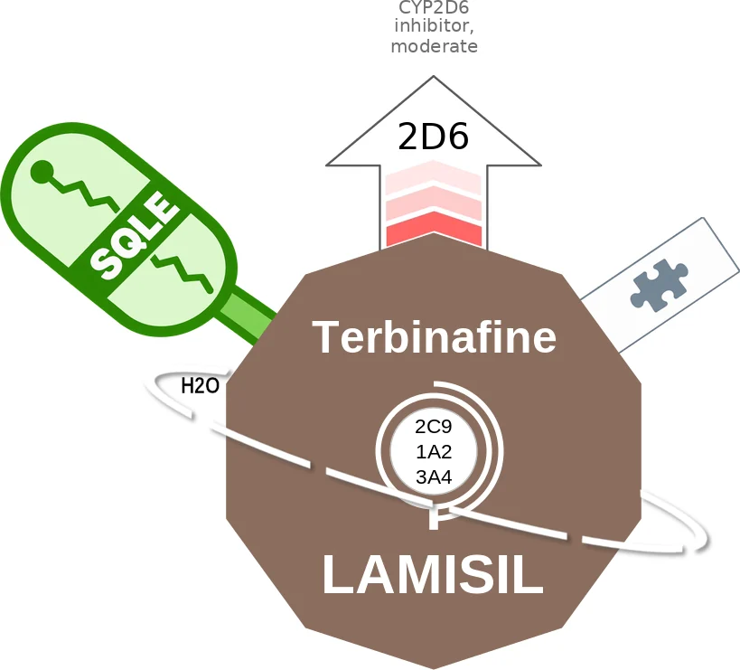 Terbinafine ballicule: receptor binding, kinetics and half-life diagram