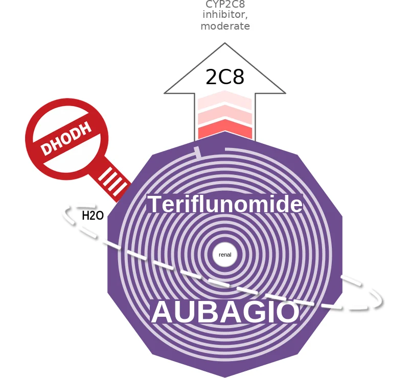 Teriflunomide ballicule: receptor binding, kinetics and half-life diagram