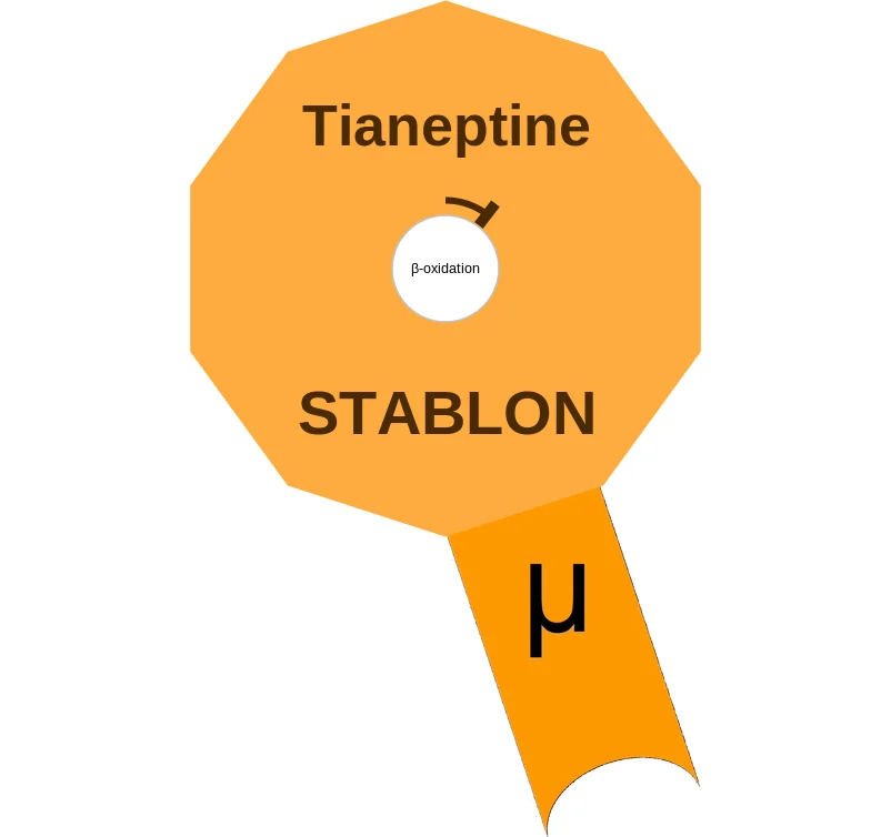 Tianeptine ballicule: receptor binding, kinetics and half-life diagram