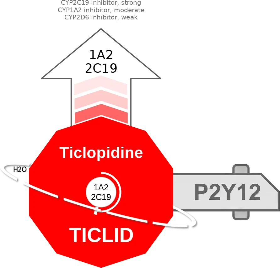 Ticlopidine ballicule: receptor binding, kinetics and half-life diagram