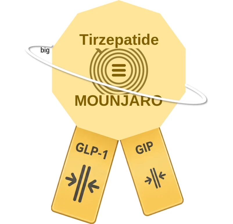 Tirzepatide ballicule: receptor binding, kinetics and half-life diagram
