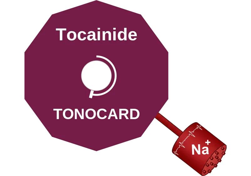 Tocainide ballicule: receptor binding, kinetics and half-life diagram