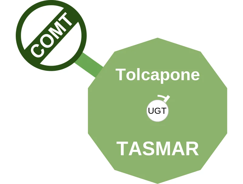 Tolcapone ballicule: receptor binding, kinetics and half-life diagram