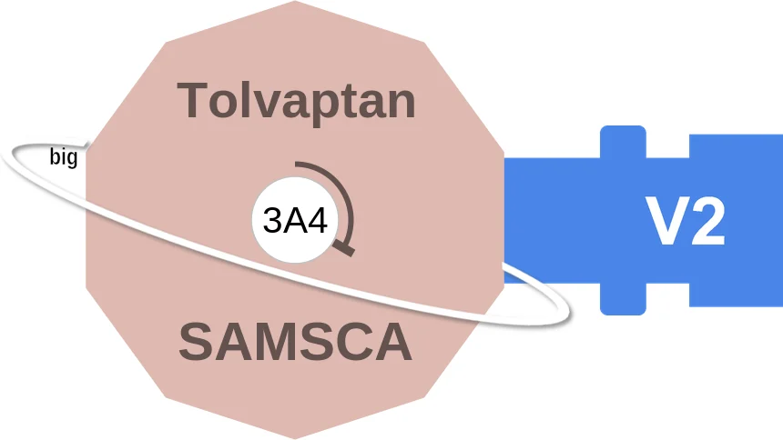 Tolvaptan ballicule: receptor binding, kinetics and half-life diagram