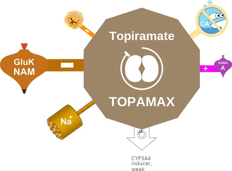 Topiramate ballicule: receptor binding, kinetics and half-life diagram
