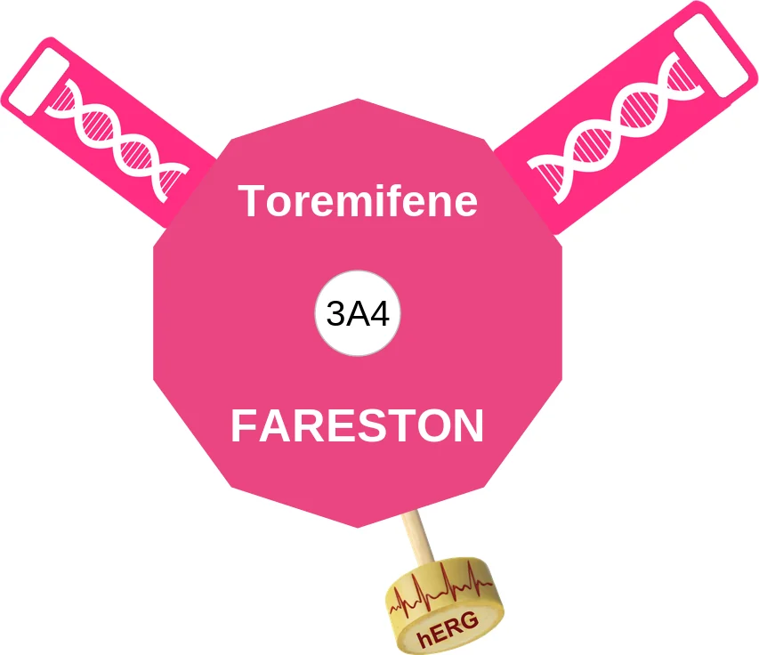 Toremifene ballicule: receptor binding, kinetics and half-life diagram