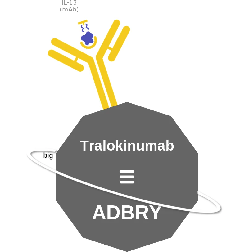 Tralokinumab ballicule: receptor binding, kinetics and half-life diagram