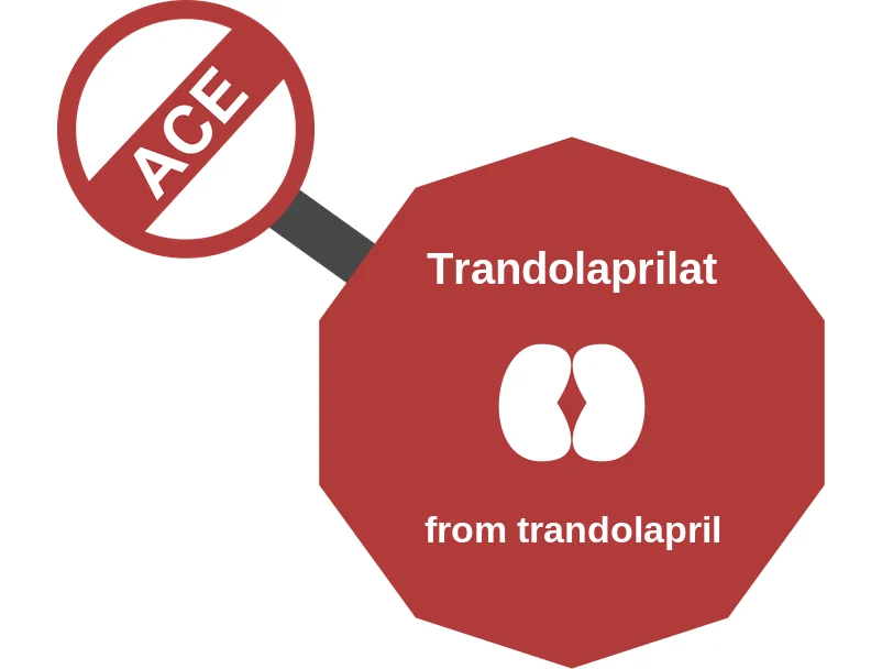 Trandolaprilat ballicule: receptor binding, kinetics and half-life diagram