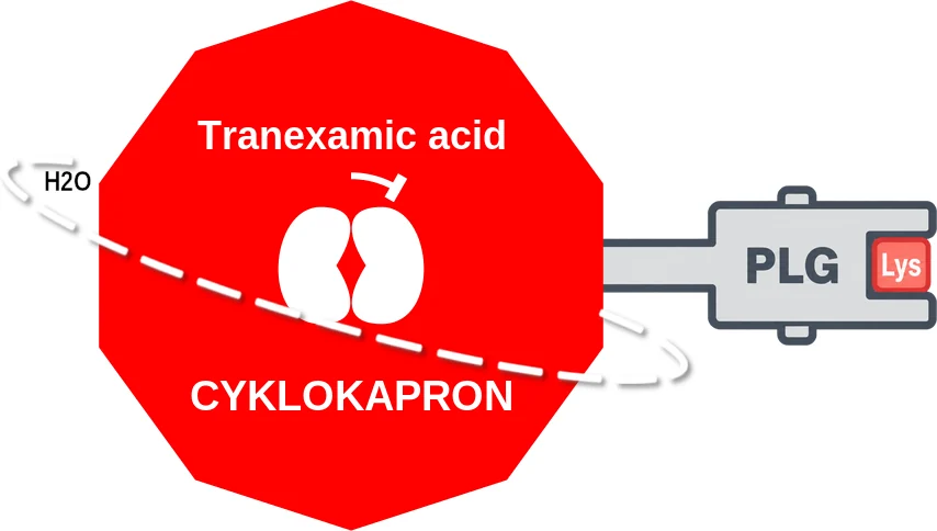 Tranexamic acid ballicule: receptor binding, kinetics and half-life diagram
