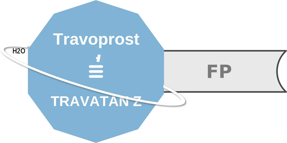 Travoprost ballicule: receptor binding, kinetics and half-life diagram
