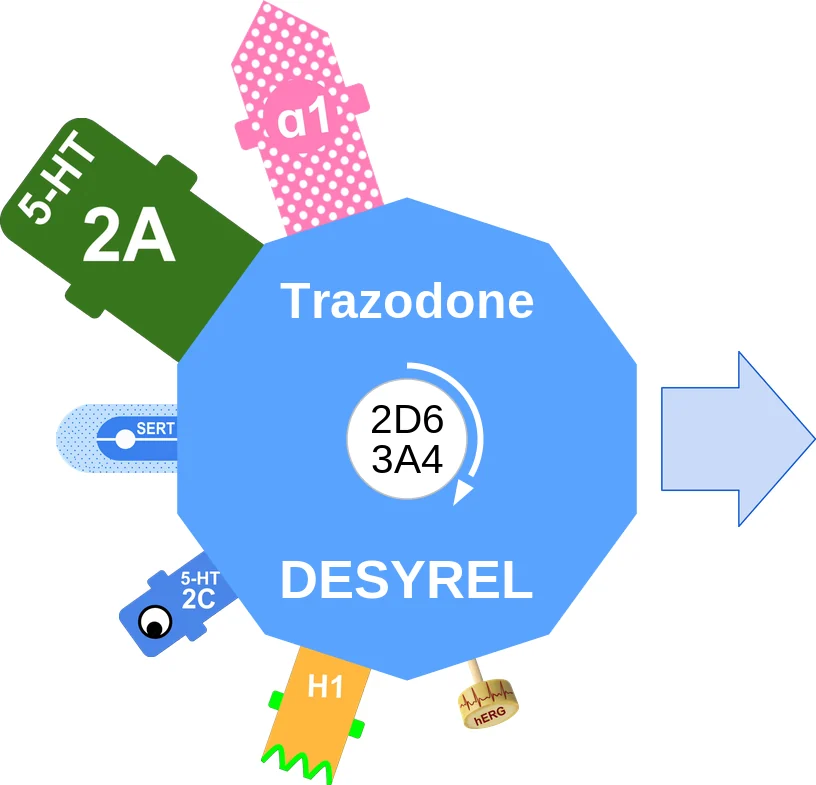 Trazodone ballicule: receptor binding, kinetics and half-life diagram
