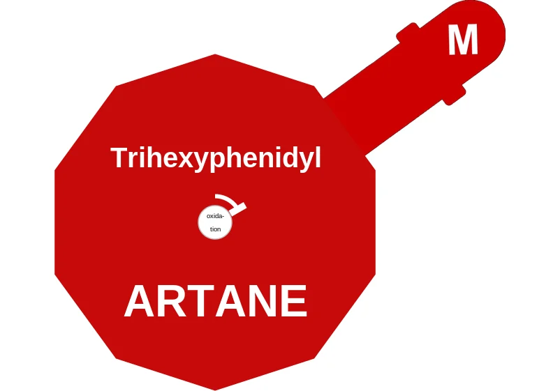Trihexyphenidyl ballicule: receptor binding, kinetics and half-life diagram