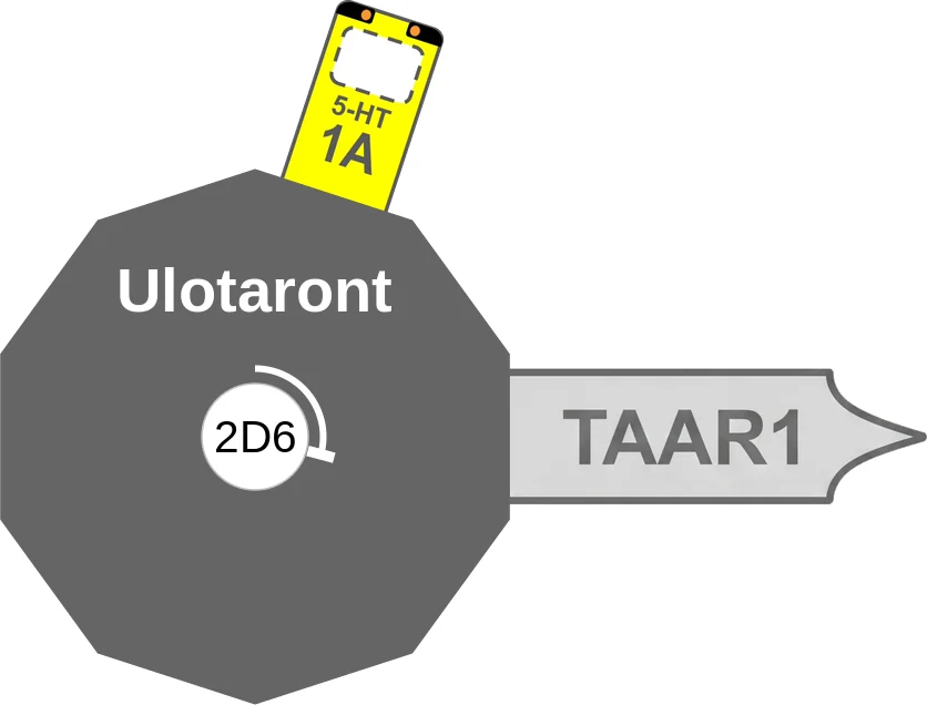 Ulotaront ballicule: receptor binding, kinetics and half-life diagram