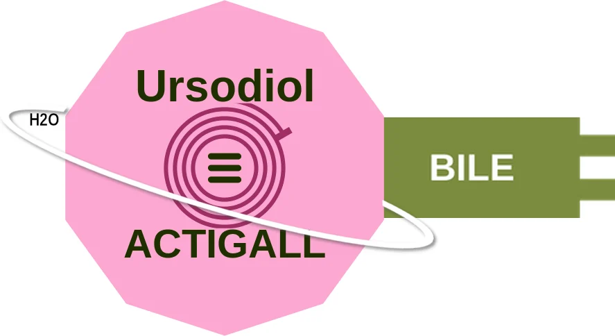 Ursodiol ballicule: receptor binding, kinetics and half-life diagram