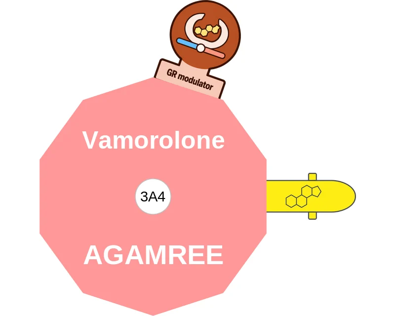 Vamorolone ballicule: receptor binding, kinetics and half-life diagram