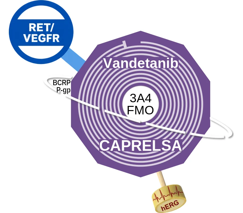 Vandetanib ballicule: receptor binding, kinetics and half-life diagram