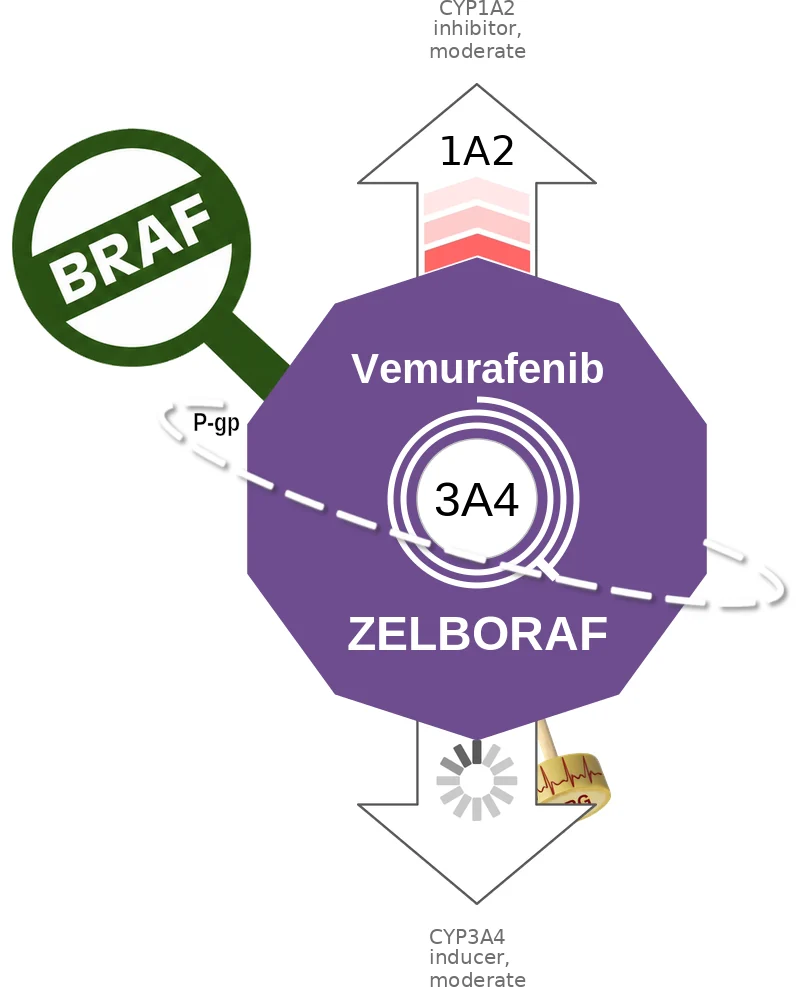 Vemurafenib ballicule: receptor binding, kinetics and half-life diagram