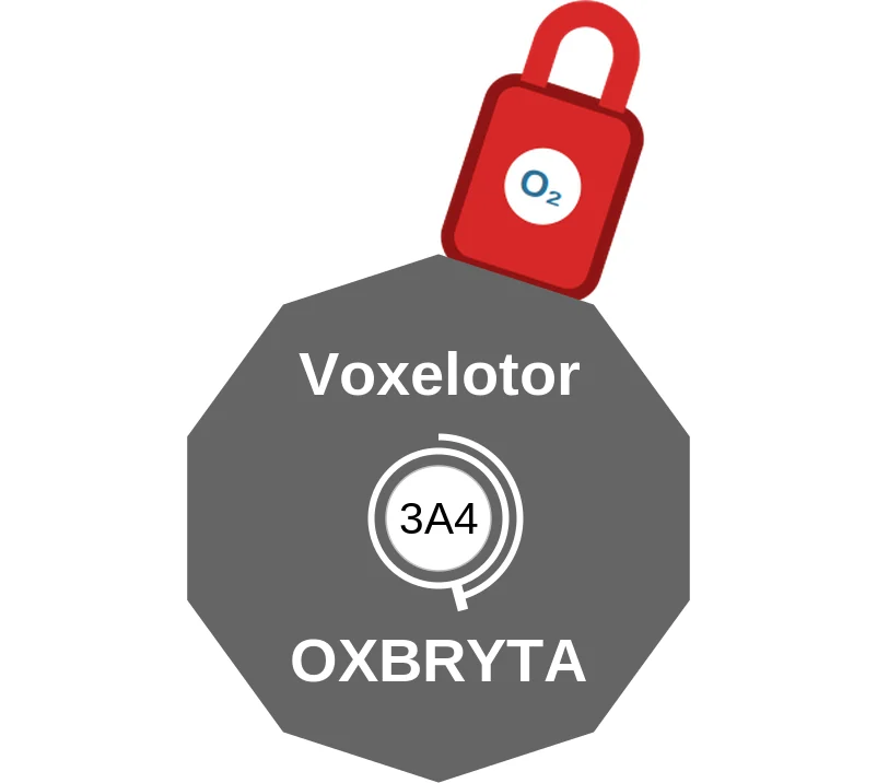 Voxelotor ballicule: receptor binding, kinetics and half-life diagram