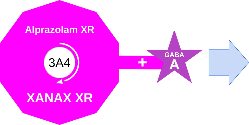 Alprazolam XR ballicule: receptor binding, kinetics and half-life diagram